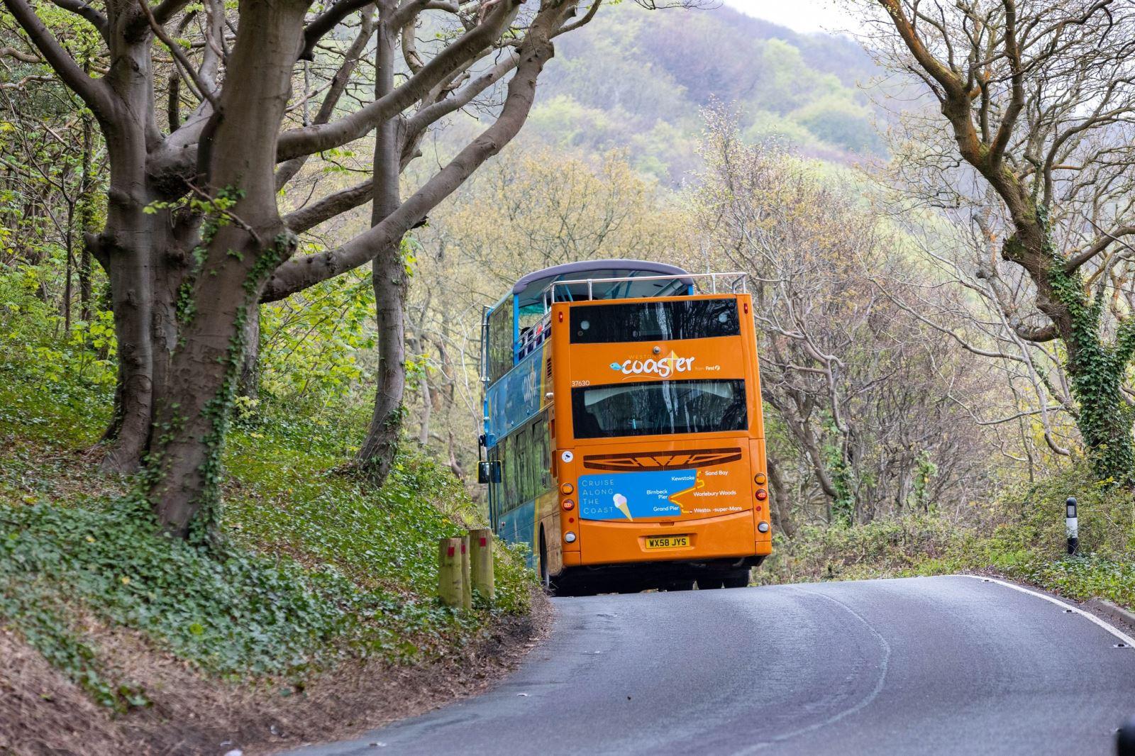 Bus timetables