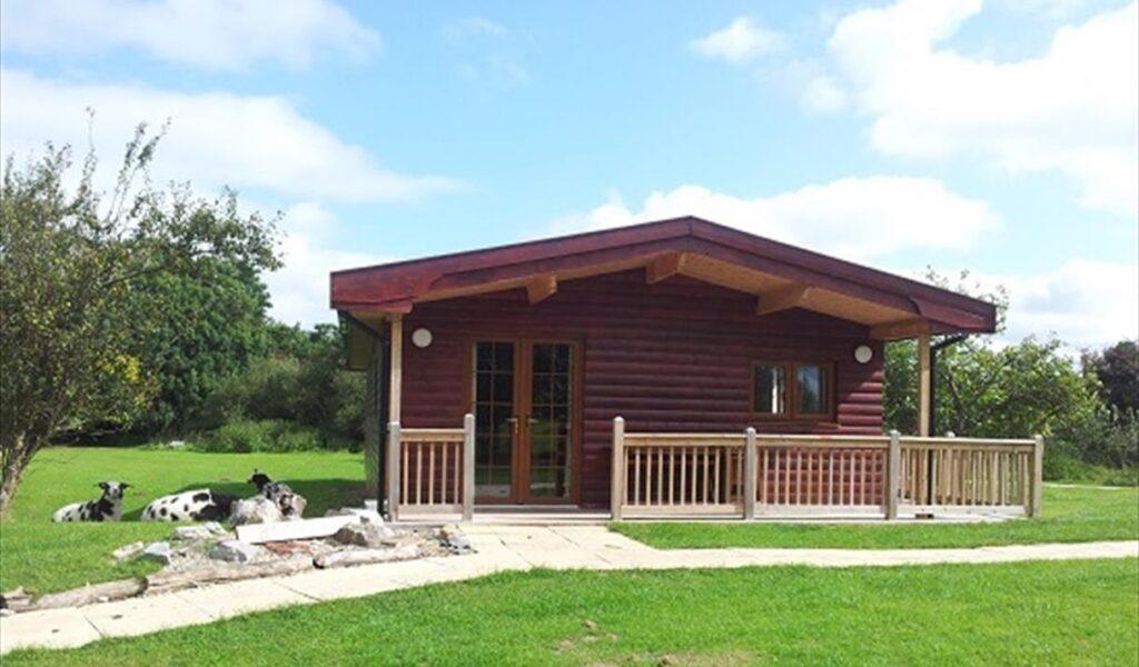 Small log cabin with a porch in a grassy yard, with cows lying nearby under a blue sky