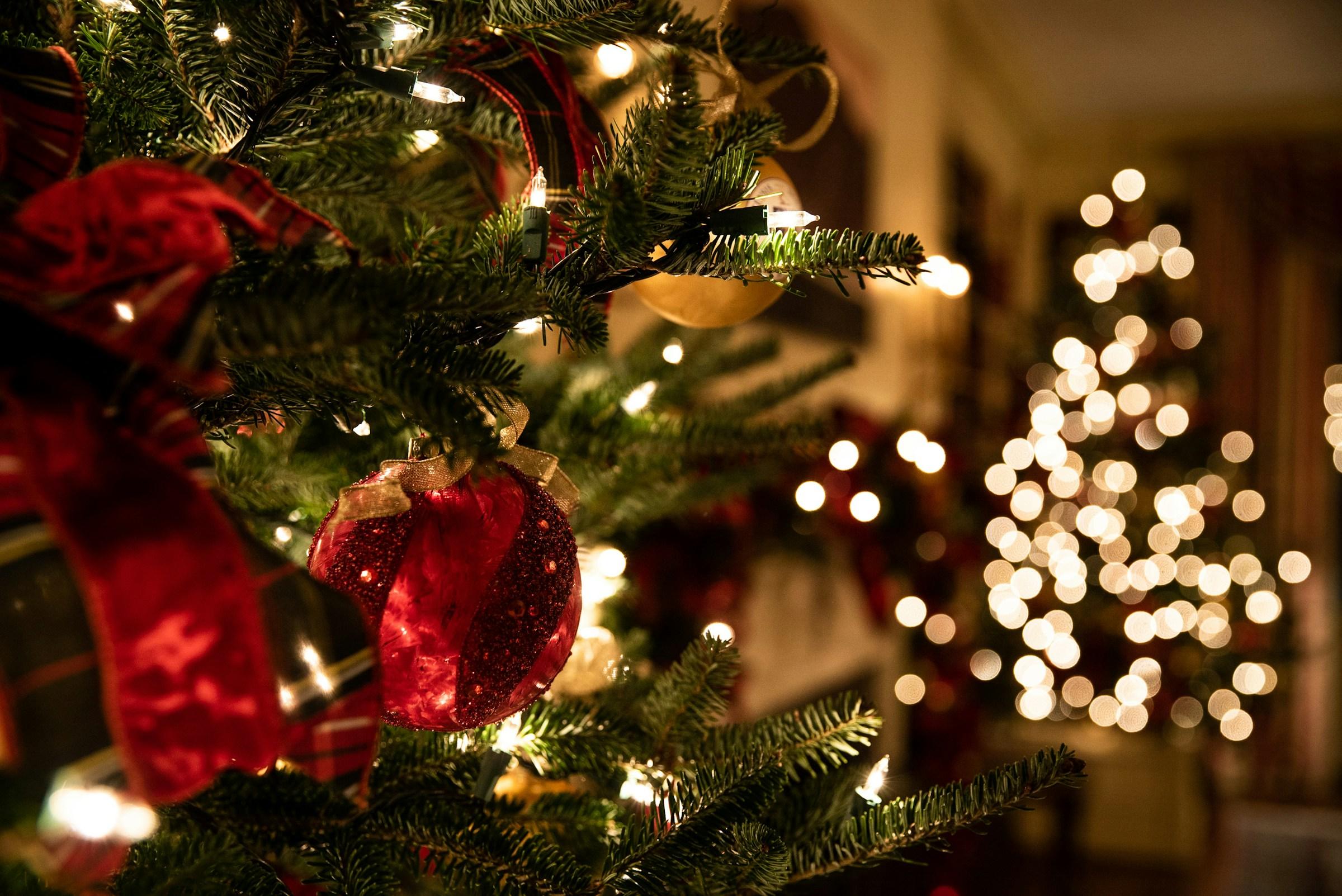 A close up photo of a christmas tree, with the lights of another christmas tree blurred in the background