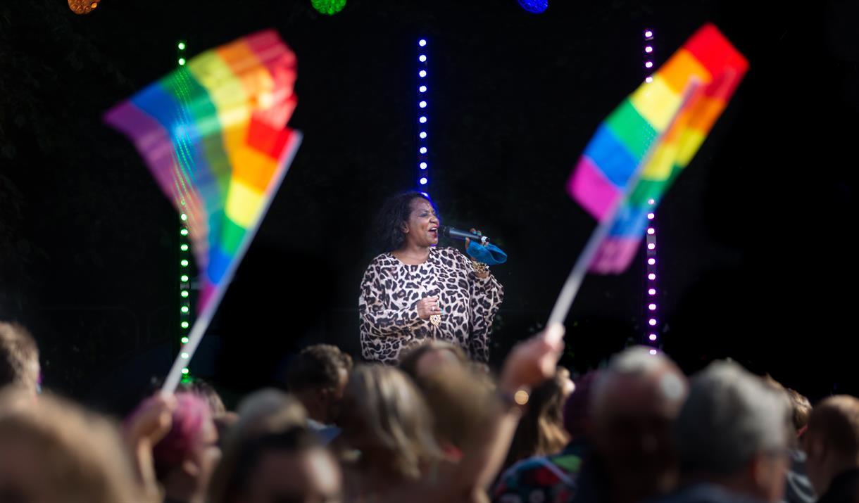 WSM Pride - a woman stands on a stage with a microphone. in front are a large group of people with Pride flags.