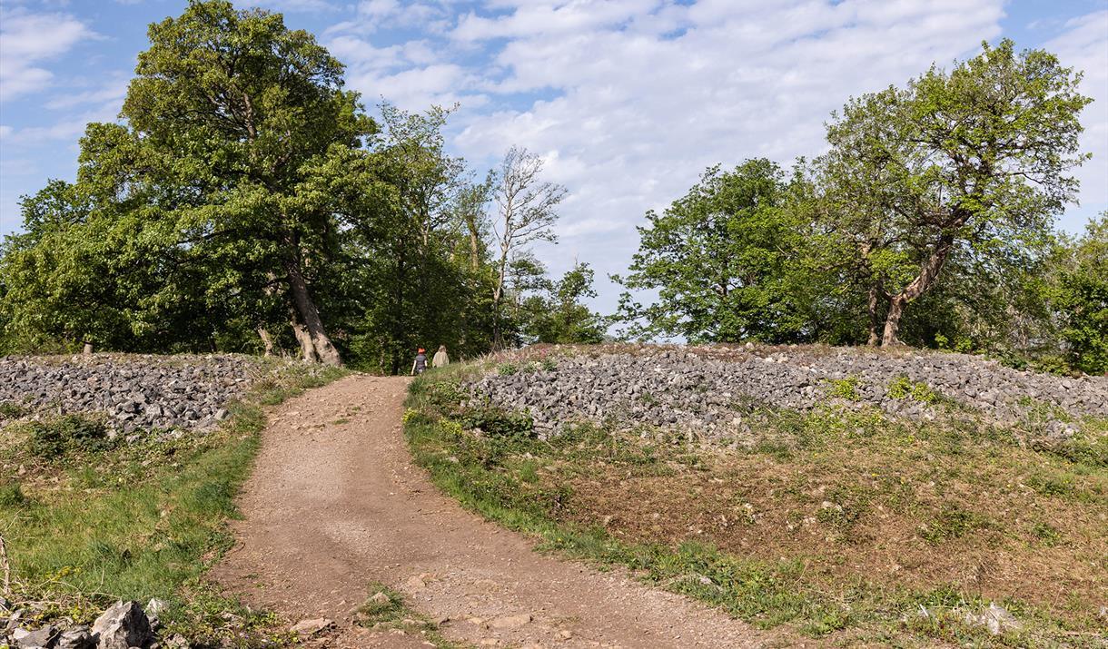 Views, Forts & Footsteps in History – Weston Walk