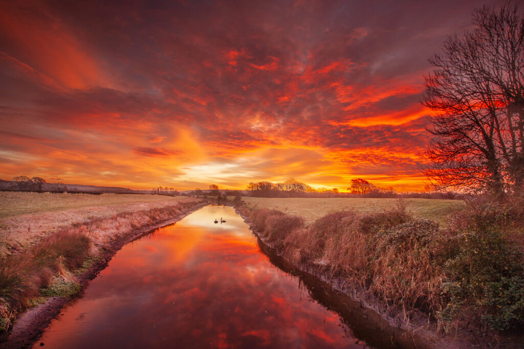 Two swans on a river in Clevedon, Somerset with a dramatic sunrise reflected in the water