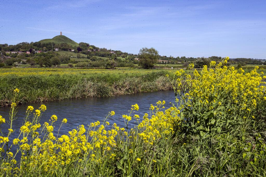 Glastonbury Tor as soon from across the river