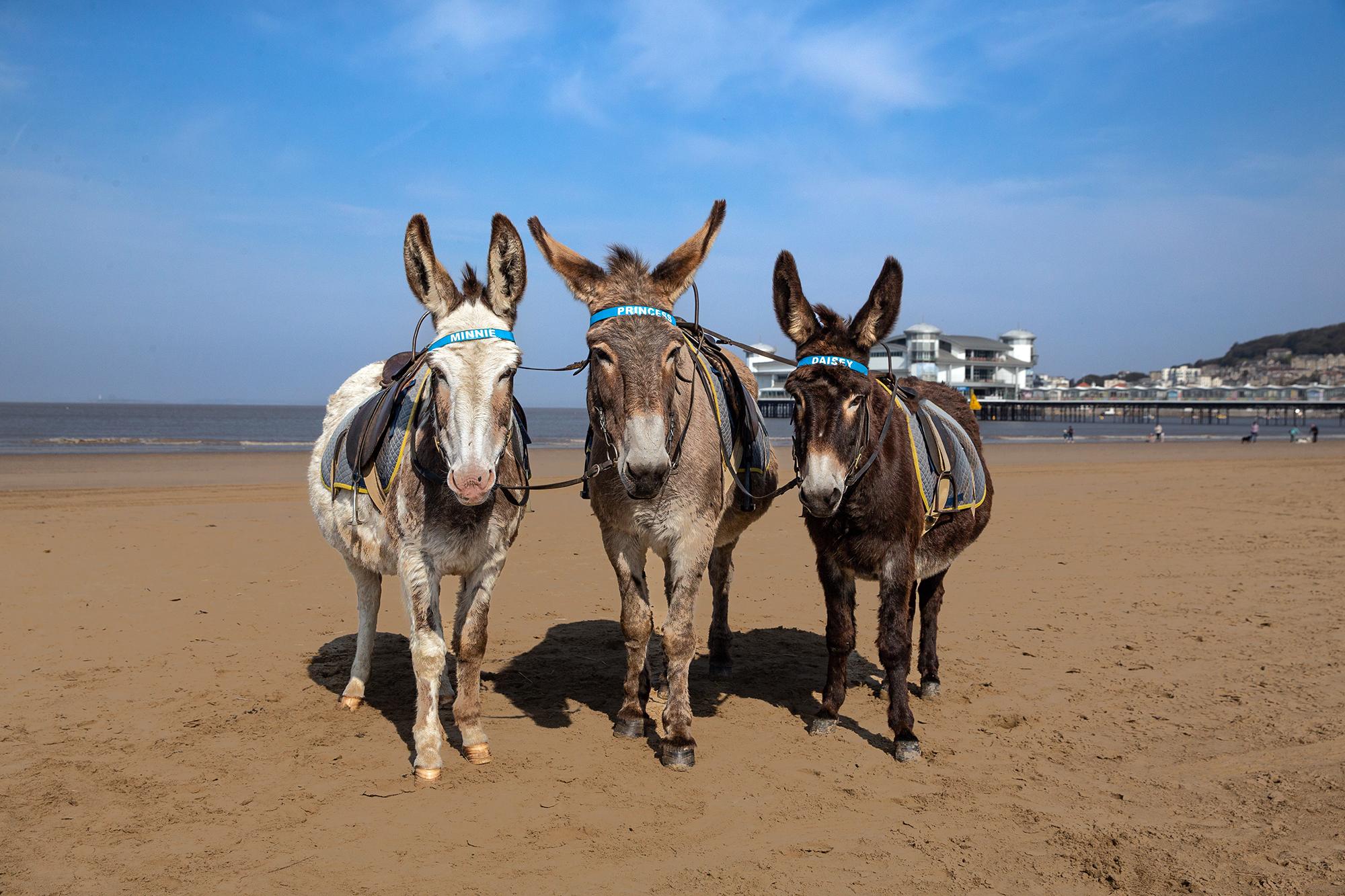 Four hours in weston-super-mare