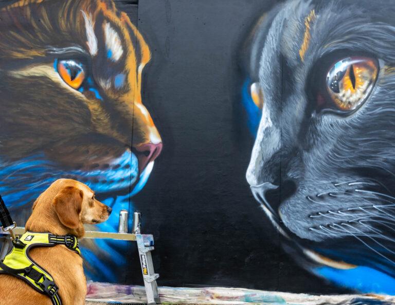 Spray Jam – Weston Wallz Festival