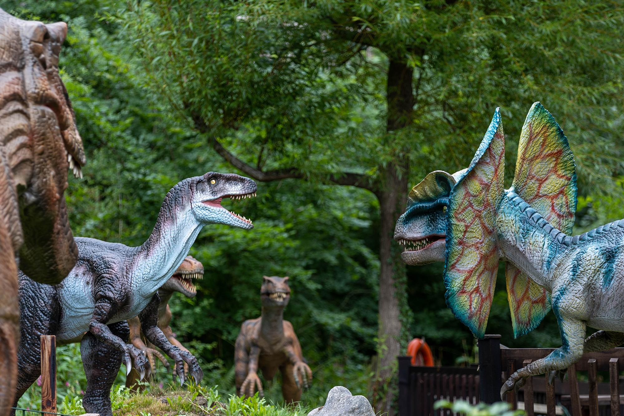 Dinosaur Valley
