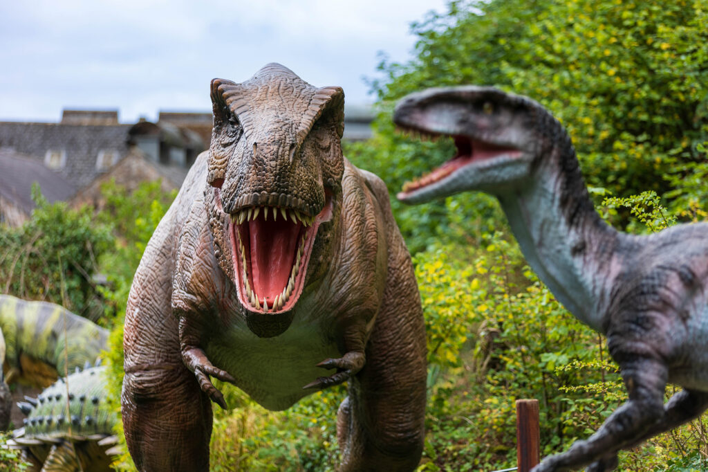 A dinosaur roars as another approaches at Dinosaur Valley at Wookey Hole