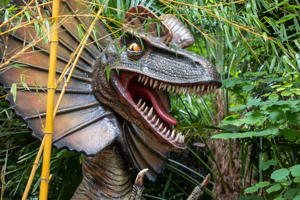 A dinosaur hiding in the undergrowth at Dinosaur Valley at Wookey Hole