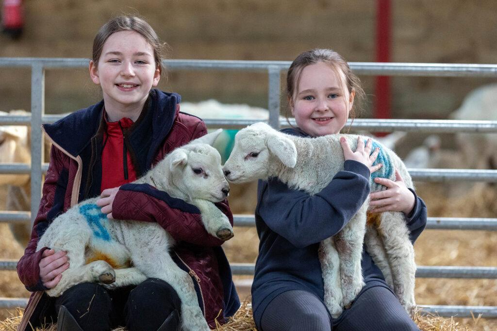 Two girls sitting on a straw bale each holding a new-born lamb at Court Farm animal attraction near Weston-super-Mare