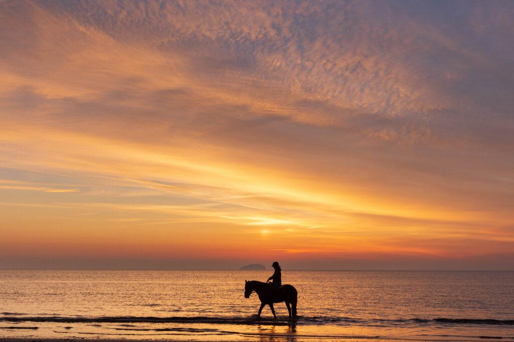 Silhouette of a horse and rider paddling in the sea in front of a golden Weston-super-Mare sunset