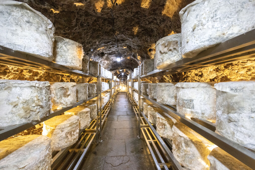 Two lines of huge round cheeses stored underground in the caves at Wookey Hole