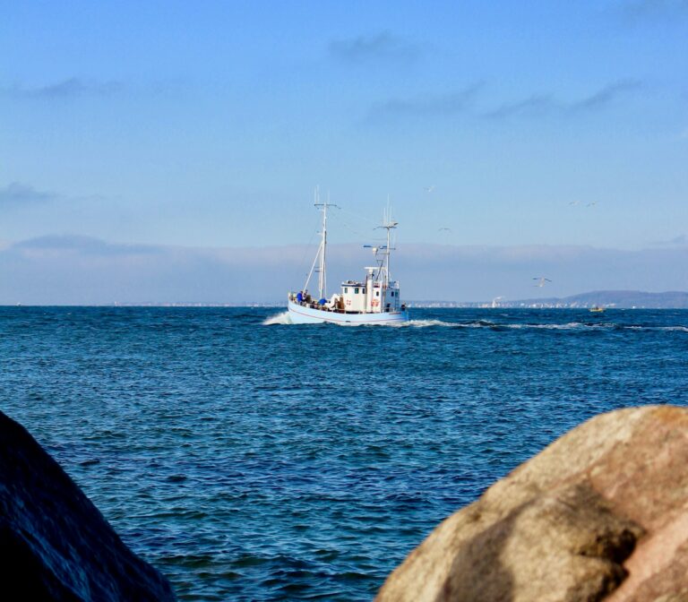 Shows & Shanties