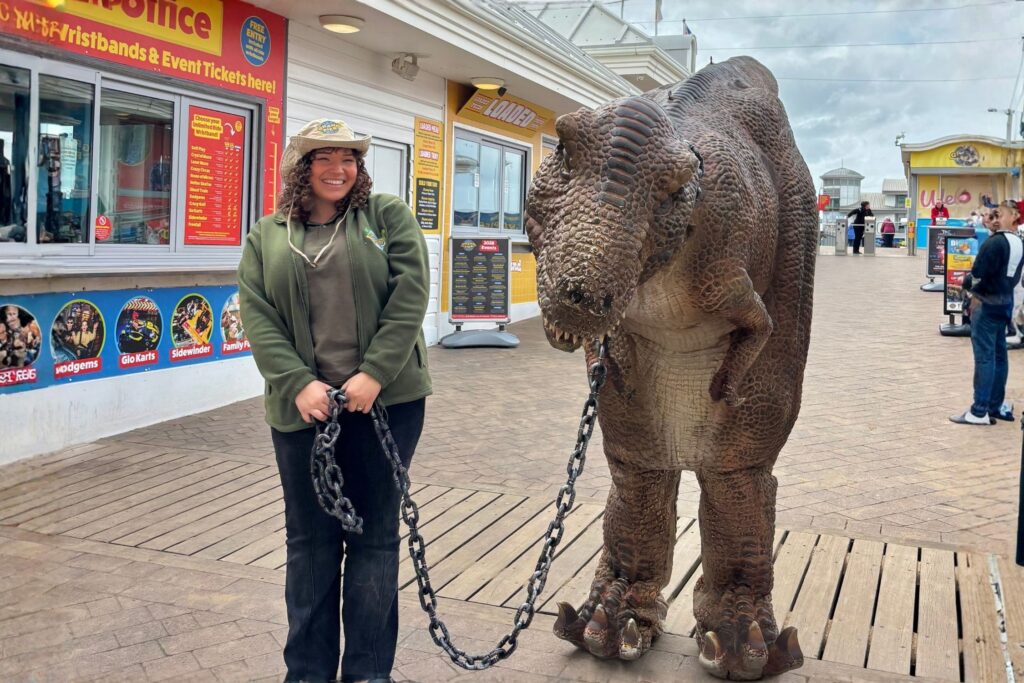 A lady dressed like a zoo keeper holding onto a metal chain which is attached to a model dinosar which is taller than her