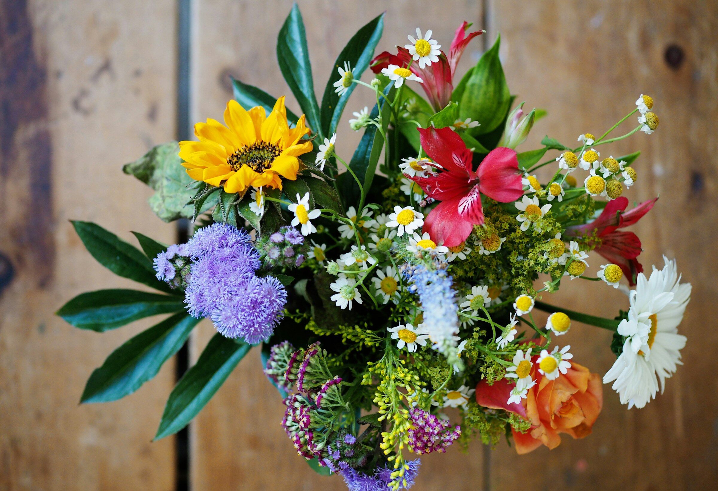 A bouquet of colourful flowers