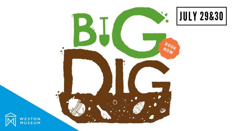 Big Dig at Ellenborough Park East