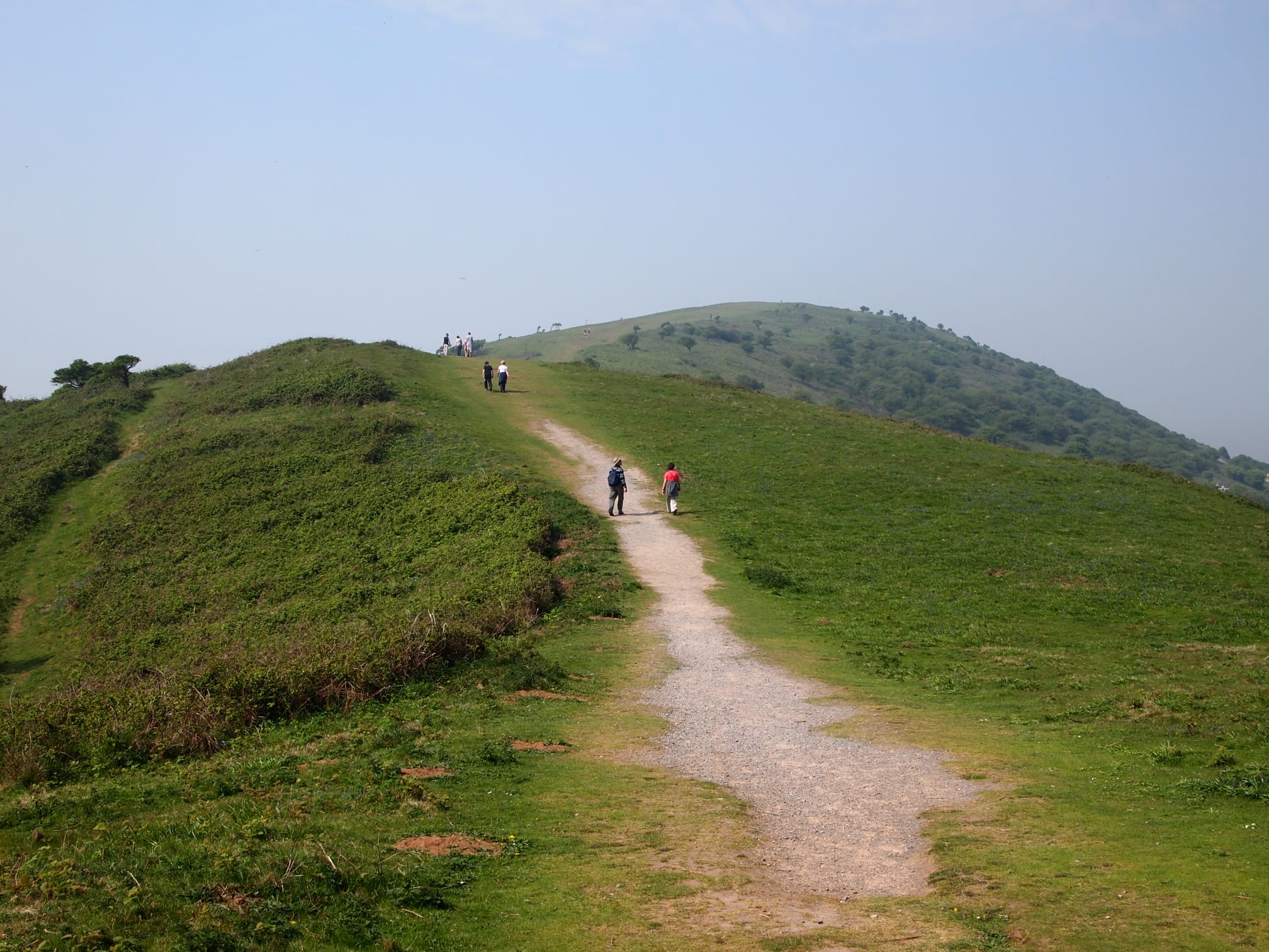 Looking after the layers of Somerset