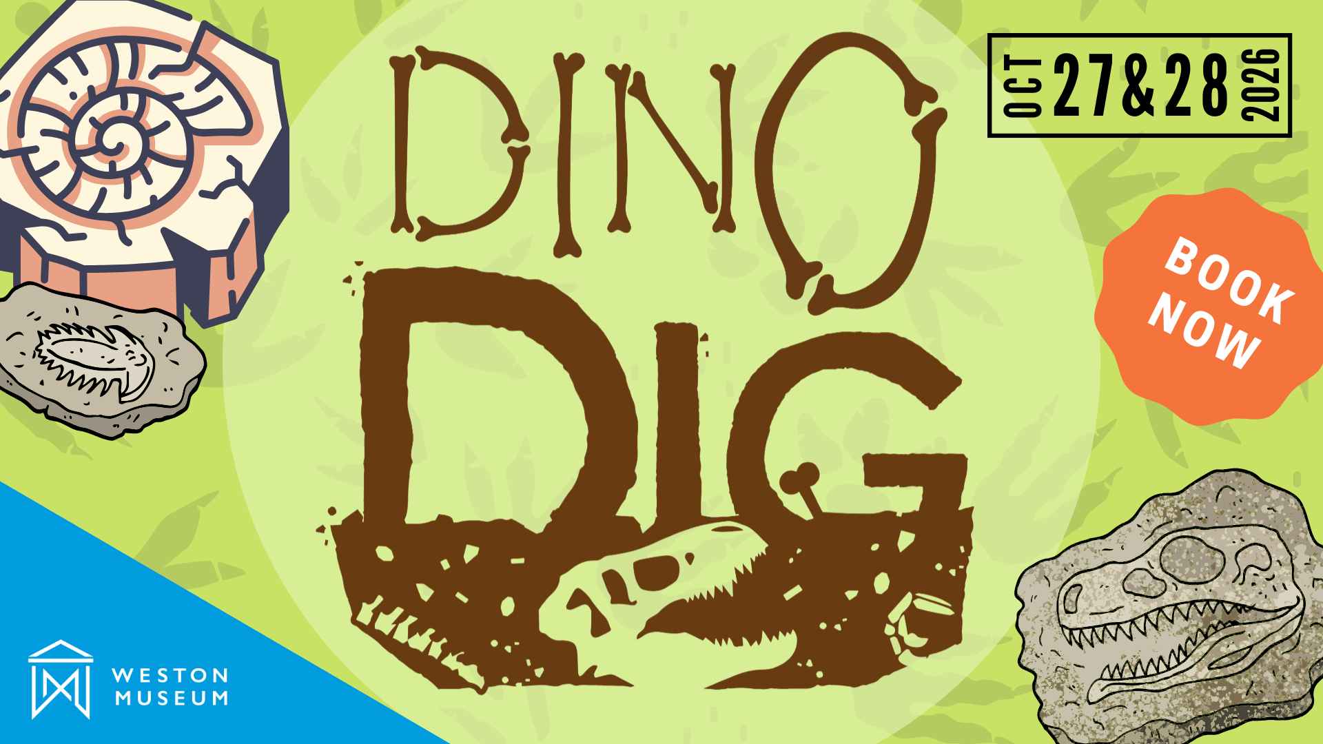 An illustration of small fossils and dinosaur bones, with the text 'Dino Dig'
