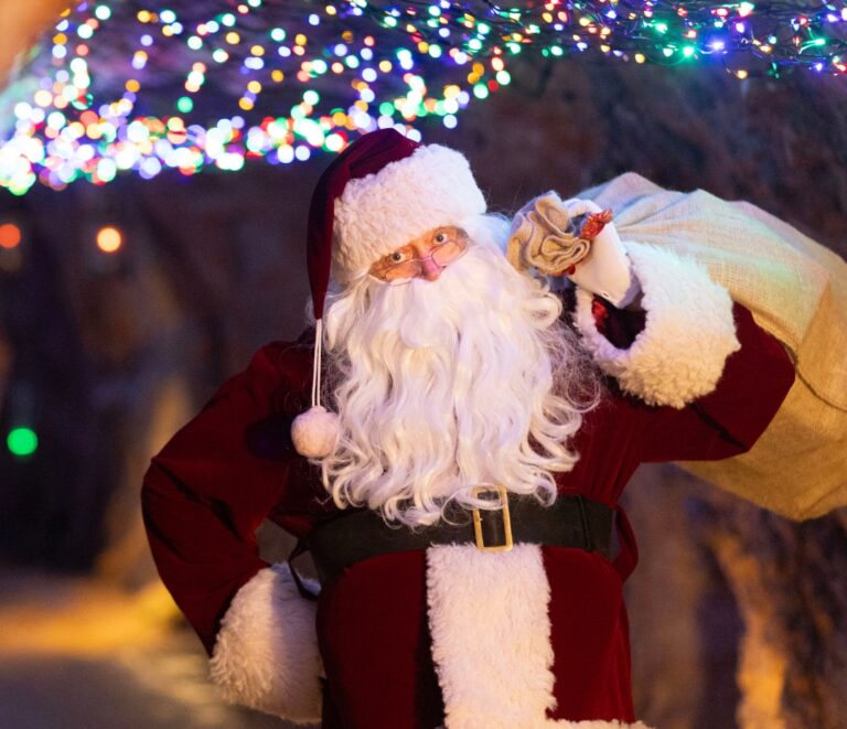 Wookey’s Winter Wonderland 2026