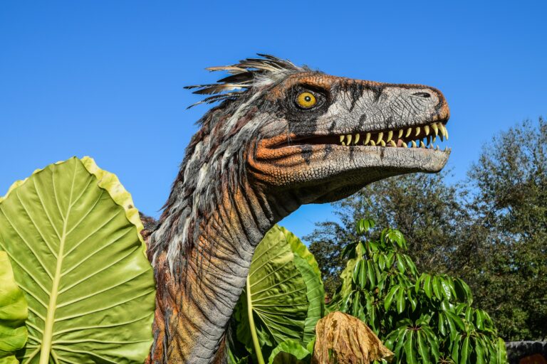 Dino Day!