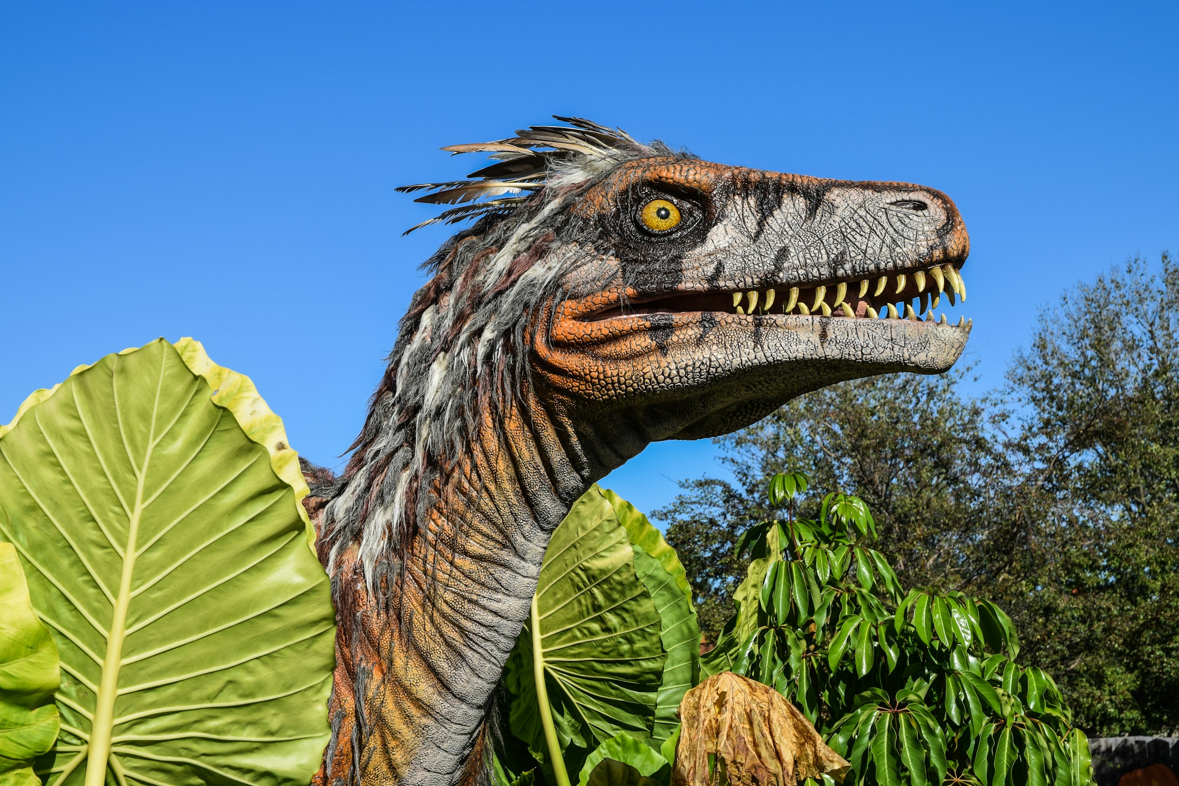 A quite scary and realistic looking statue of a dinosaur, surrounded by leaves