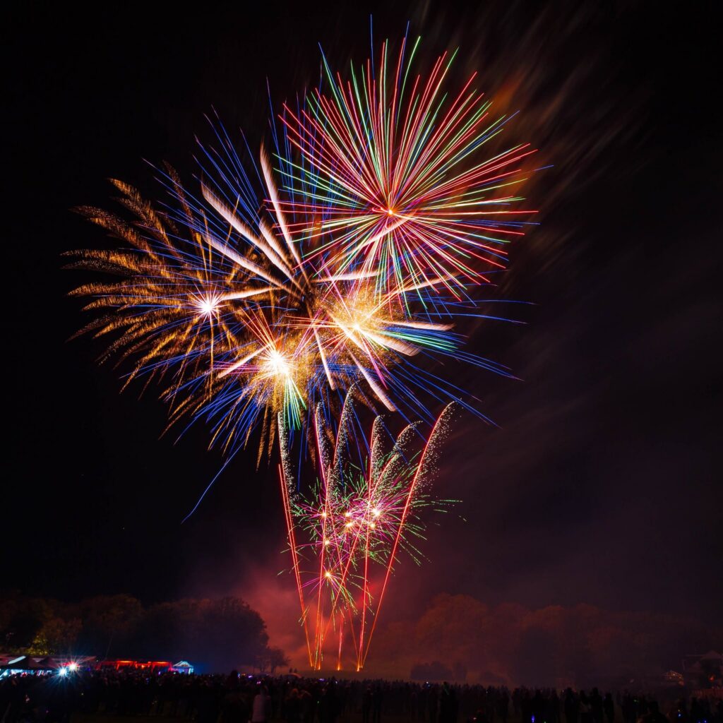Fireworks exploding into the black sky